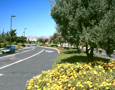 Photo of the olive trees, pink-flowering crape myrtle trees and colorful plant materials accenting the Gateway Blvd intersection at Travis Blvd, Fairfield Gateway Project, City of Fairfield, CA