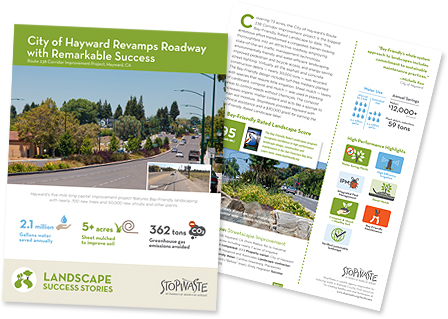 Read the City of Hayward Revamps Roadway with Remarkable Success article by www.StopWaste.org (thumbnail image)